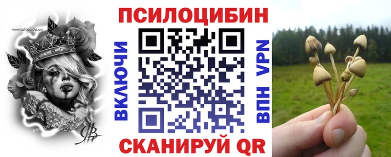 закладка  Сухой Лог  Галлюциногенные грибы GOLDEN TEACHER 